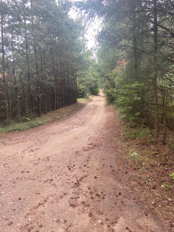 Domek Nad Jeziorem Kamien 2A Kowalewo Exterior foto